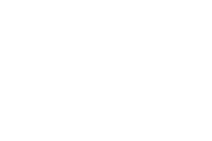 Shoalhaven Logo